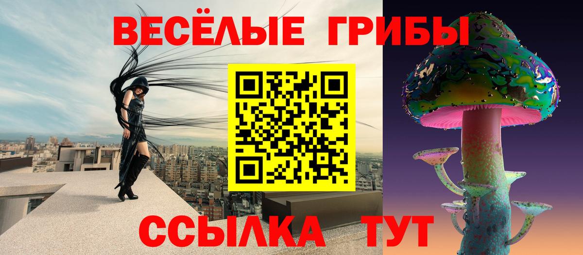 Псилоцибиновые грибы Psilocybine cubensis  Вход с VPN  Саранск 